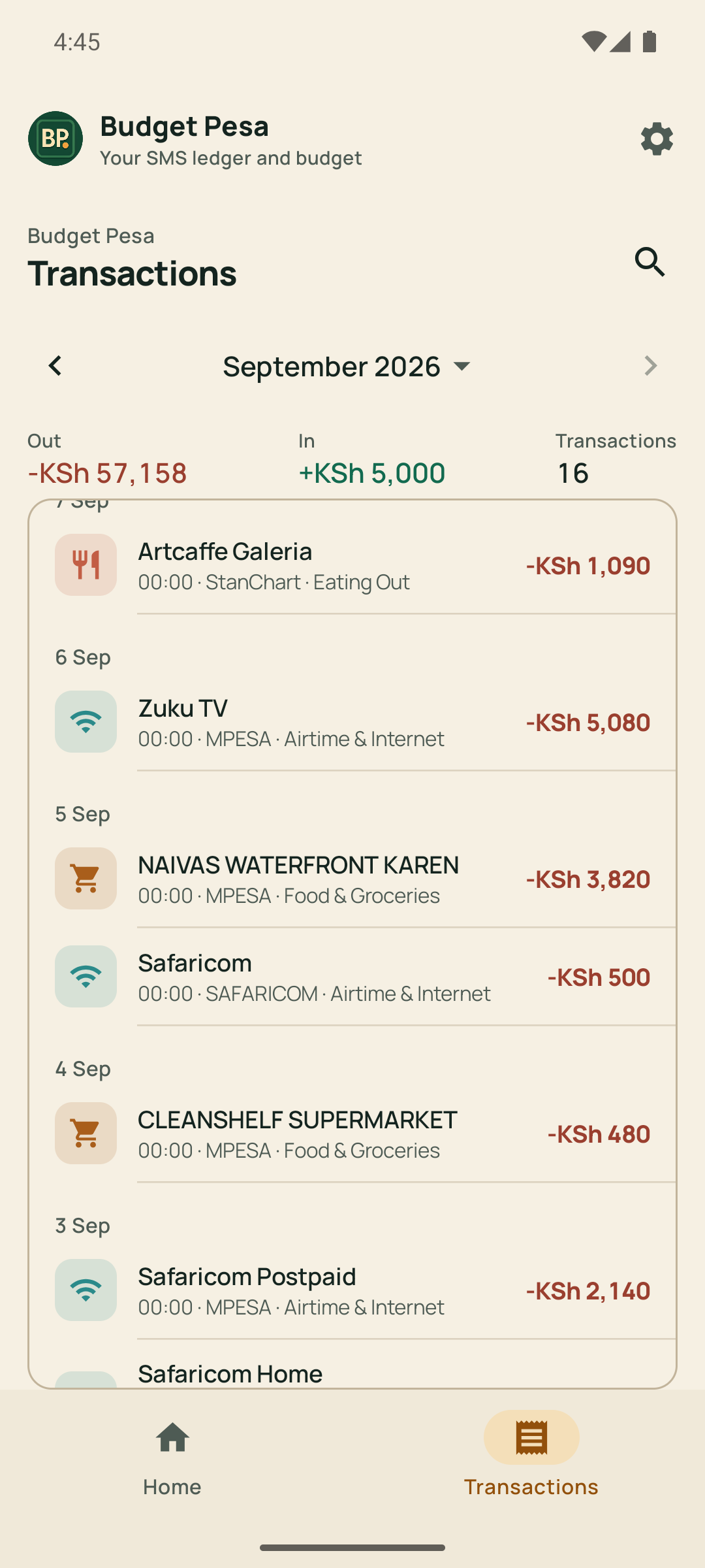 Budget Pesa monthly transaction ledger organized by date and category